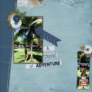 A world of adventure