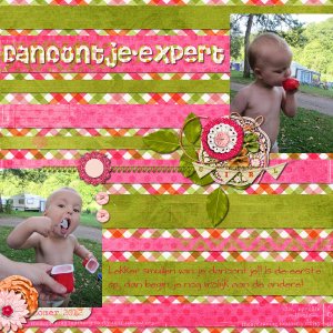 Danoontje Expert