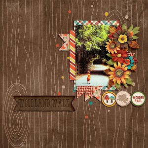 Woodland Walk