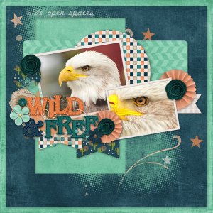 Wild + Free