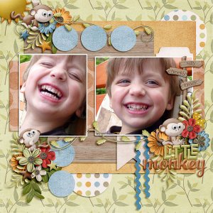 Little Monkey