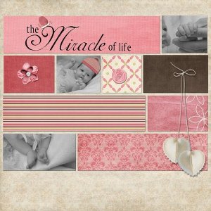 The Miracle of Life