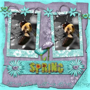 Spring