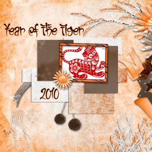 Year Of The Tiger