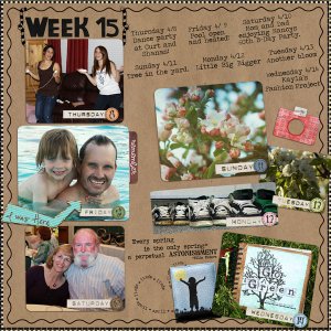 Week 15, 2010