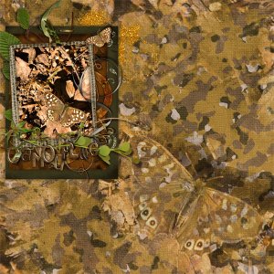 The Camouflaged Butterfly