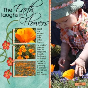 The Earth Laughs in Flowers