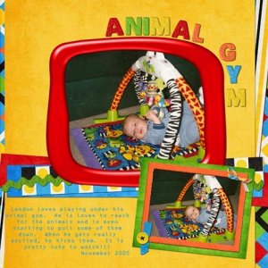 Animal Gym