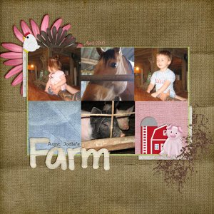 aunt jodies farm