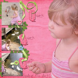 Feeding the Ducks
