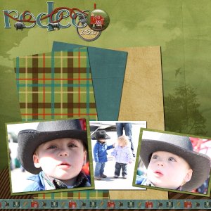 Rodeo Cowboy