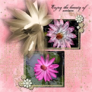 Enjoy the Beauty of nature