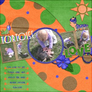 tortoiselovegallery