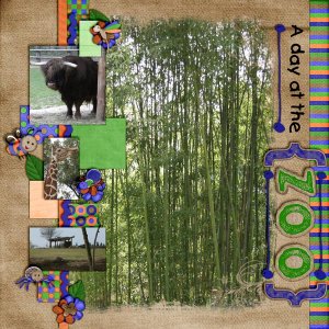 A day at the zoo