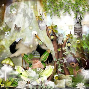 01-Forest-of-Dreams