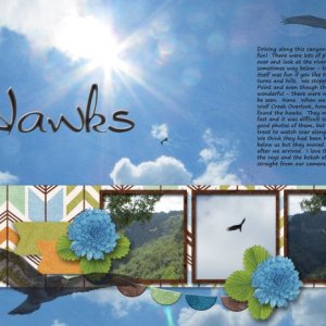 Hawks