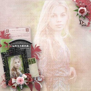 Letters from a Rose Garden