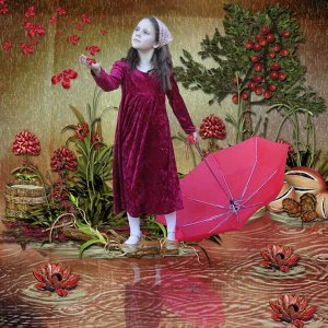 Burgundy Rain