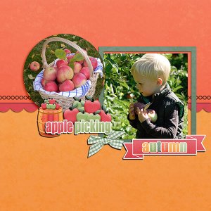 Apple Picking