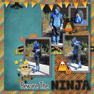 Beware The Ninja