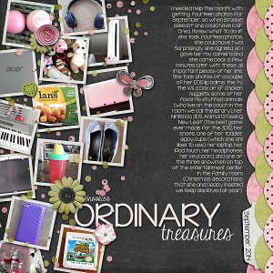 Brookie's Ordinary Treasures