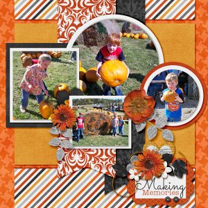 Pumpkin Farm