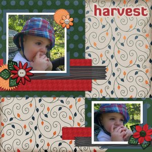 Harvest