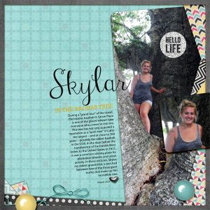 Skylar in the Baobab