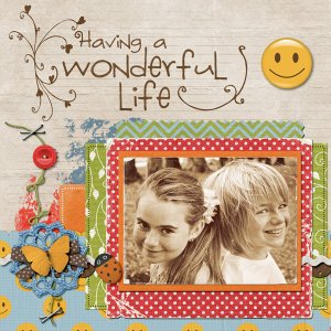 Wonderful life