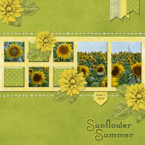 Sunflower Summer