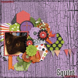 Squirt