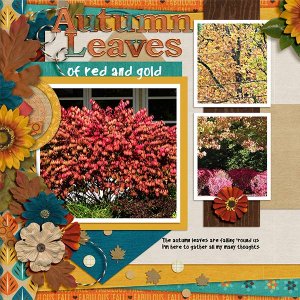 autumnLeaves_lt