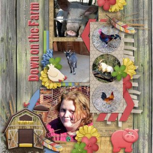 Down on the Farm