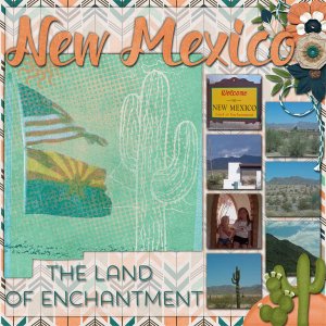 new mexico - 2004