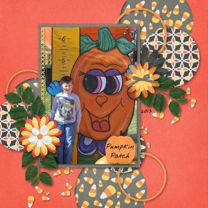 Pumpkin Patch