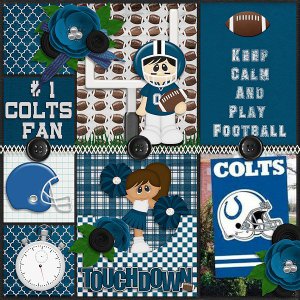 #1 Colts fan