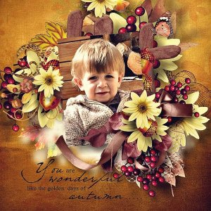 Golden days of autumn