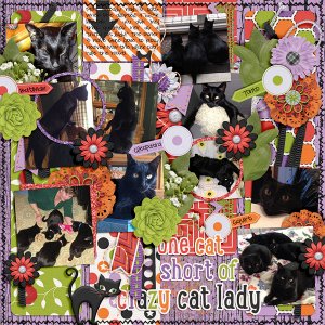 Crazy Cat Lady