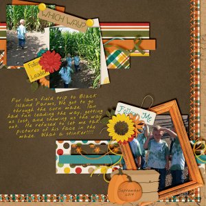 Black Island Corn Maze