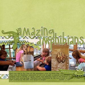 Amazing Amphibians