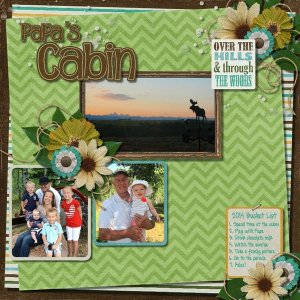 Cabin Bucket List