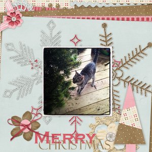 Gnome discovers Xmas