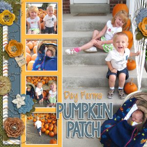 Pumpkin Patch