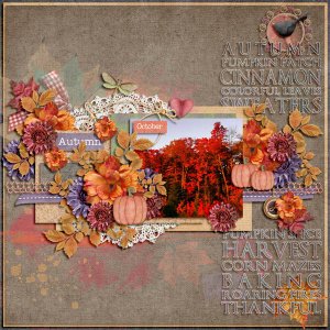 Looking For Fall