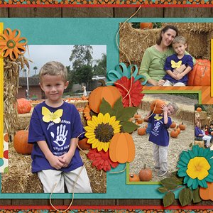Pumpkin Patch