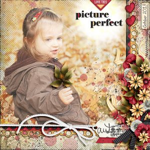 picture perfect