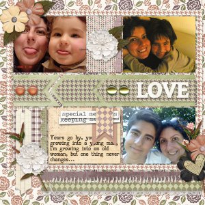 my love for you