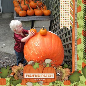 Pumpkin Patch