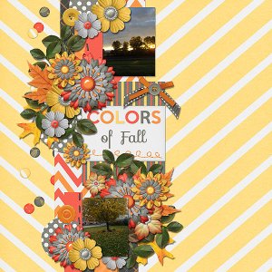 Colors Of Fall
