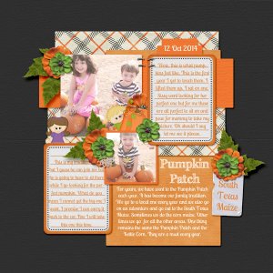 Pumpkin Patch